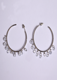 Silver shiny Earrings