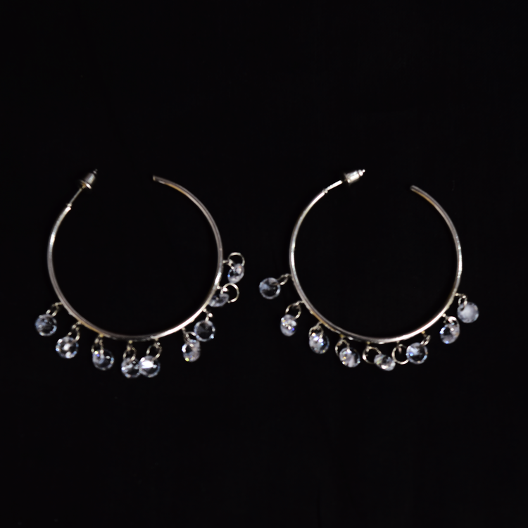 Silver shiny Earrings